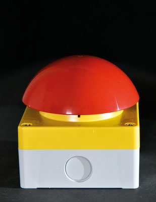 MAGIC MUSHROOM  2020 Ready-Made, Grobhandtaster 10 x 10 x 10 cm