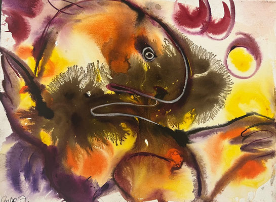 ANIMAL 2022 Öl auf Leinwand 43 x 56 cm