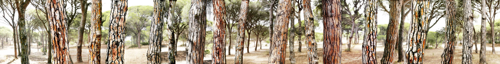 Najara, Spanien, 2014, Lambdaprint/Diasec hinter Acryl, Ed. 5 25 x 200 cm