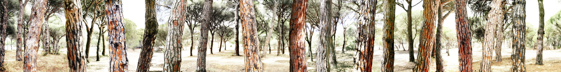 Zahora, Spanien, 2011, Lambdaprint/Diasec hinter Acryl, Ed. 5 25 x 200 cm