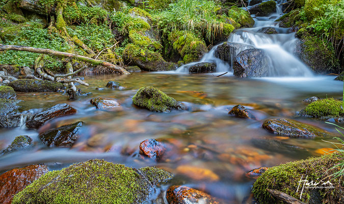 Naturbach Latscheralm