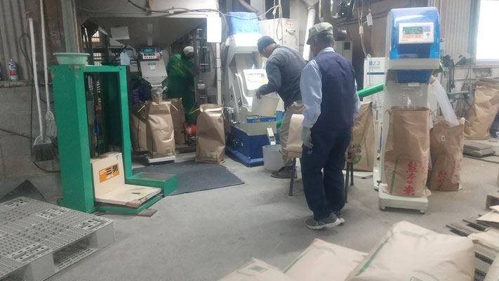 喜多ライスセンターでの乾燥・籾摺り作業。