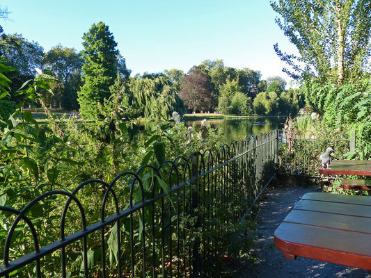 Mein Picknick Platz am Weiher des St. James's Parkes