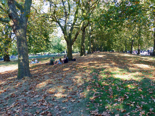 Der St.James's Park. In London dürfen Grünflächen immer benutzt und begangen werden - es sein denn es ist ausdrücklich nicht gestattet (was selten vorkommt)