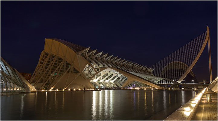 Valencia, Ciudad de las Artes y de las Sciencas 2015 | Canon EOS 6D  24 mm 6,0 Sek.  f/8,0  ISO 100