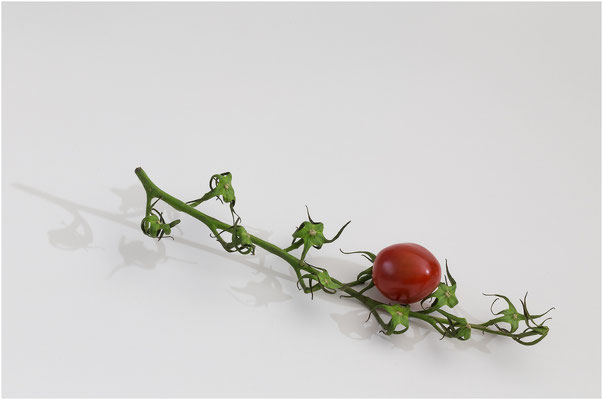 Tomate (Solanum lycopersicum) 2014 | Canon EOS 6D  100 mm  13,0 Sek.  f/32  ISO 100