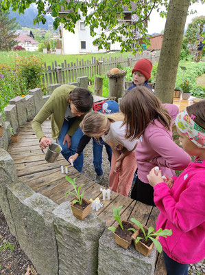 Kinder im Garten   ©OGV Alpbachtal