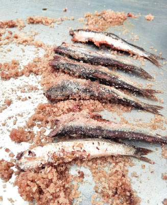 Anchoas de salazón Bolado, una delicia de anchoas gourmet de Cantabria.