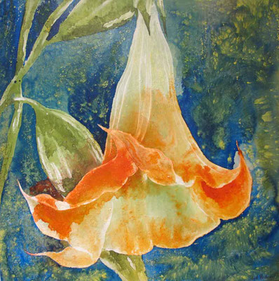 Datura, 2012, 100 x 100 cm, Mischtechnik auf Leinwand