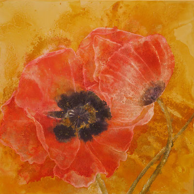 Mohnblüten, 2013, 100 x 100 cm, Mischtechnik auf Leinwand