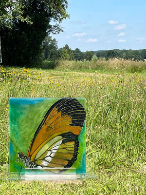 Schmetterling | Glasarbeit in Fusionstechnik | 50 x 50 cm | 2021