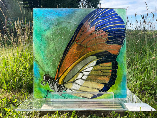 Schmetterling | Glasarbeit in Fusionstechnik | 50 x 50 cm | 2021