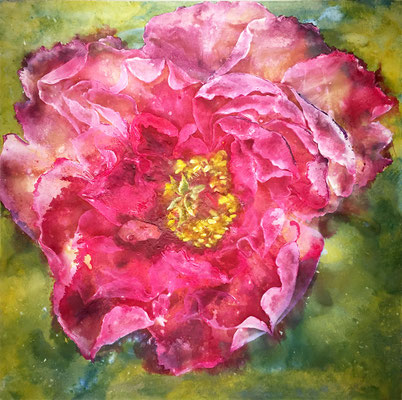 Pfingstrose, 2020, 120 x 120 cm, Mischtechnik auf Leinwand