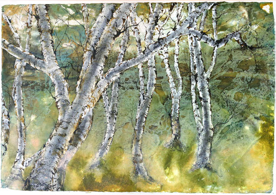 Birkenhain im Vorfühling, Tusche und Acryl auf handgeschöpftem Papier, 100 x 140 cm, 2021