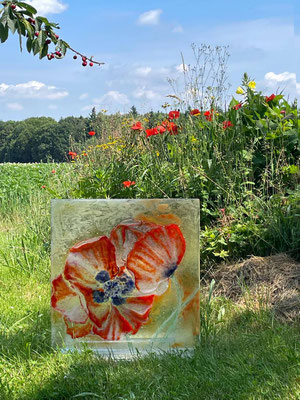 Mohnblüten | Glasarbeit in Fusionstechnik | 50 x 50 cm | 2021