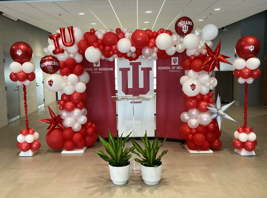 Air-Filled Balloon Organic Arch IU Red White