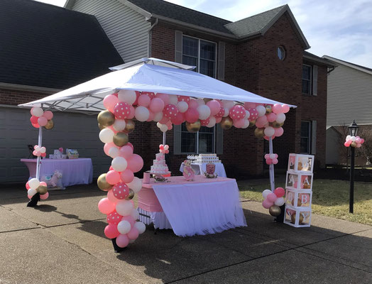 Air-filled balloon garland canopy outdoor drive-by shower