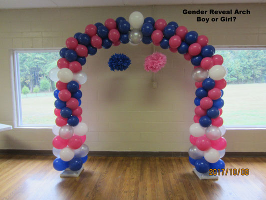 Gender Reveal Baby Boy Girl Shower Air-Filled Balloon Arch Royal Blue Hot Pink Silver White