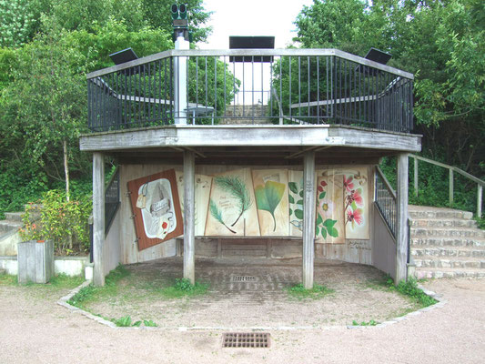Décor peint planches botaniques- Rosny sous bois