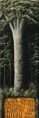 Northland Kauri 100 x300