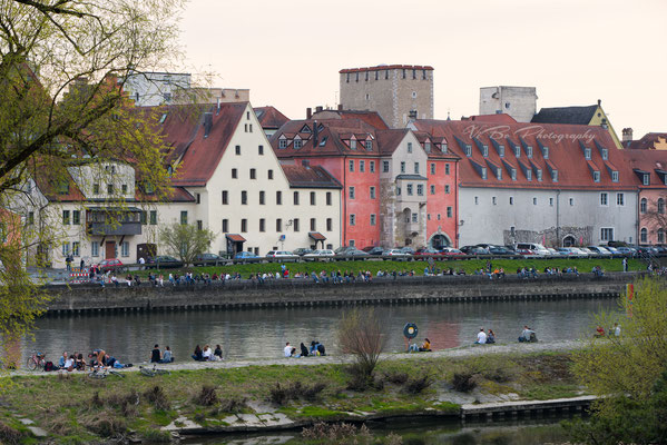 Weinlände und Donau, Regensburg.