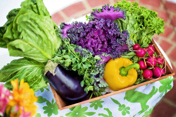 Was Ist Detox Sandra S Gesundheits Und Beautyblog