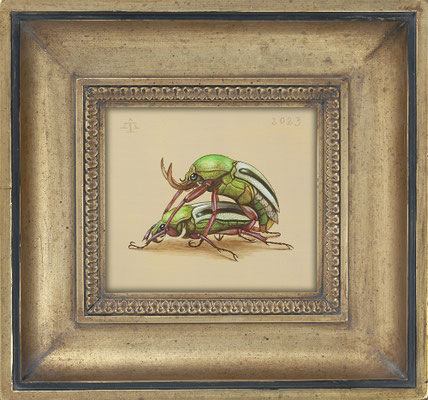 "Eudicella" 15,5x17,5cm, Mischtechnik/Malplatte, 2023 - Preis auf Anfrage