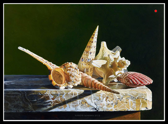 "Muscheln" 30x40cm, Öl/Malplatte, 2022 - VERKAUFT