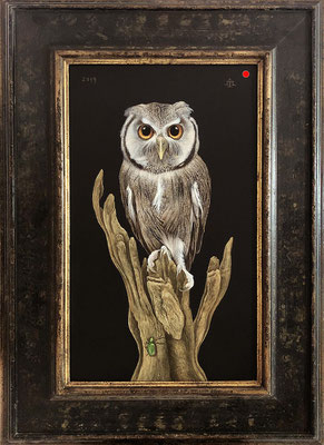 "Weissgesichtseule I"   52x31cm, Mischtechnik/Malplatte, 2019 -  VERKAUFT