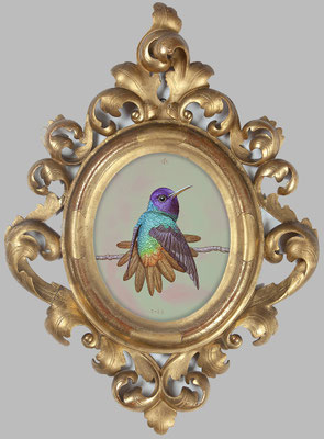 "Honigvogel" 33x27cm, Mischtechnik/Malplatte in venezianischem Rahmen, 2023 - Preis auf Anfrage