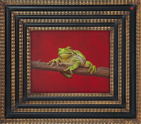 "Laubfrosch"  24x30cm, Mischtechnik/Maltafel, 2019 -  VERKAUFT
