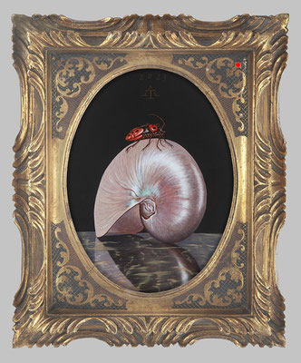 "Nautilus mit Käfer" 23cm , Mischtechnik/Malplatte, 2023 - VERKAUFT