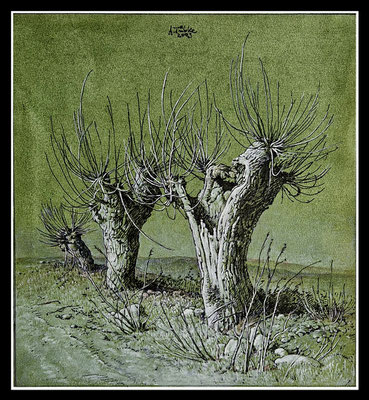 "Weiden I" Aquarell auf Bütten, 32x30cm, 2003 - 800,-EUR