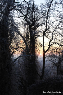 Sonnenuntergang 03-02-2009