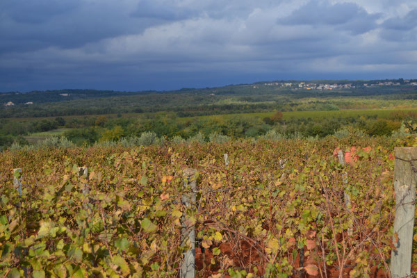 Weinberg 