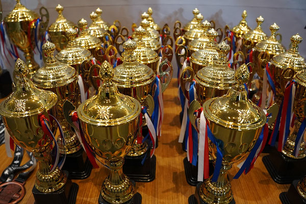 Pokale & Ehrenpreise Europameisterschaft Masters