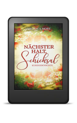Nächster Halt Schicksal, Veronica More, Romantische Kurzgeschichte, Chick Lit