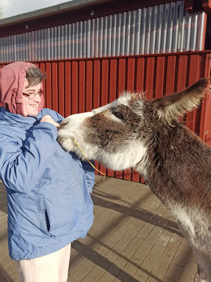 Eselwanderungen als Tiergestützte Therapie