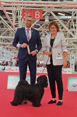 Veteranen Weltsieger - WDS Bologna 2026