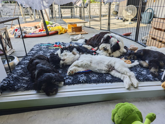 zusammen chillen