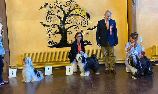 Kailas gewinnt die Zwischenklasse und wird 2. Bester Rüde