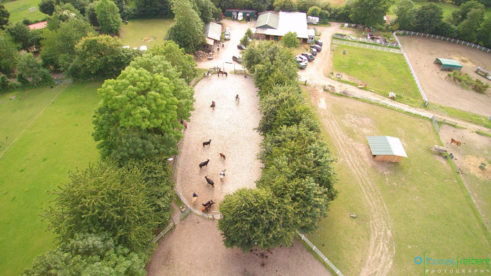 Der Reitplatz