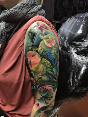 papagei rosenköpfchen parrot tattoo