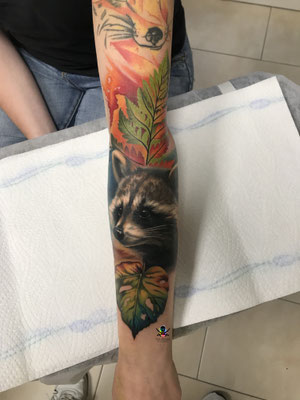 racoon color tattoo