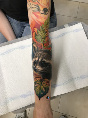 racoon color tattoo