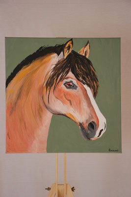 "Reitpony-Hengst" Acrylfarbe auf 50x50 cm Keilrahmen