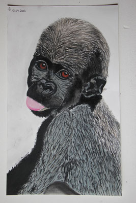 "Junger Gorilla" Pastellkreide auf 20x40 cm Künstlerpapier 