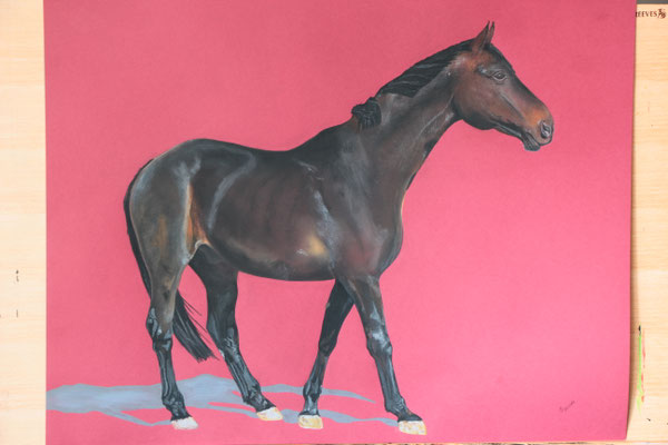 "Choice" in Pastellkreide auf 50x65cm Pastellpapier