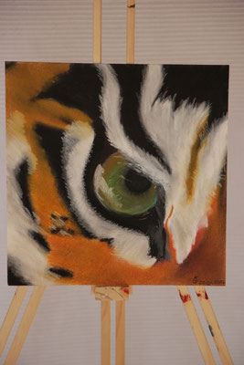 "Eye of the tiger" Pastellkreide auf 23x23 cm Pastellpapier