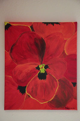 "Rotes Stiefmütterchen" Acrylfarbe auf 25x30 cm Keilrahmen